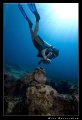 Underwater photographer at work. My buddy & girlfriend Seda and her "model" : a 2000 year old amphora ;-) 